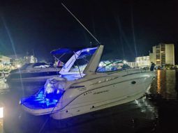 
										MONTEREY 290 29 full									
