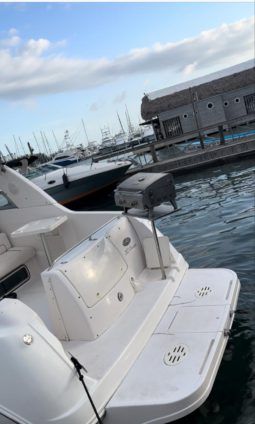 
										MONTEREY CRUISERS 28.2 full									