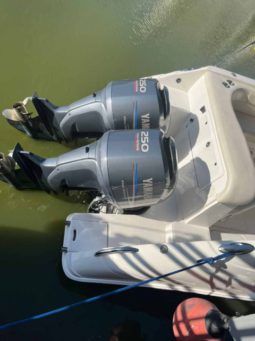 INTERMARINE AVANTI 35 full