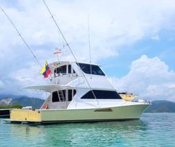 
										VIKING EB 61 full									