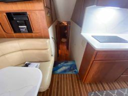 
										HATTERAS CONVERTIBLE 50 full									