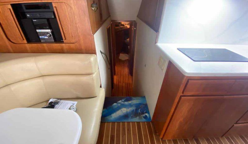 
								HATTERAS CONVERTIBLE 50 full									