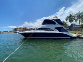 SEA RAY FLYBRIDGE 50