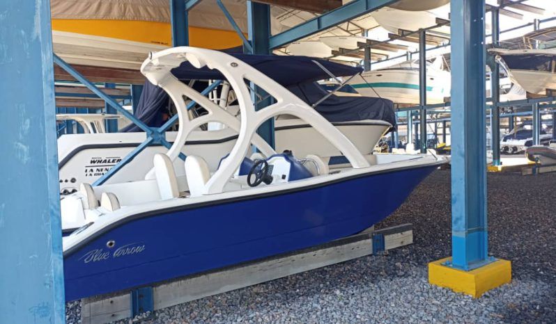 
								BLUE ARROW 20 full									