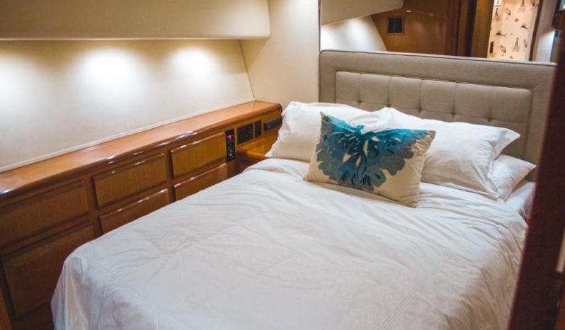 
								VIKING 50 full									