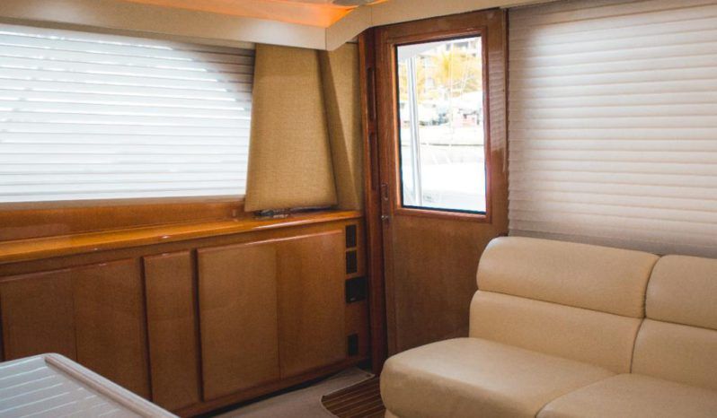 
								VIKING 50 full									