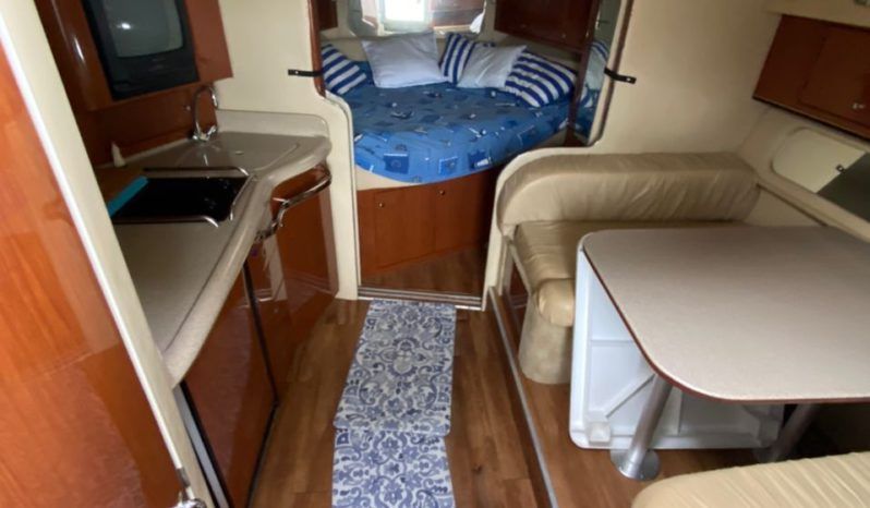 
								SEA RAY AMBERJACK 34 full									