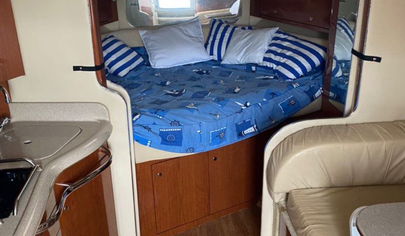 
								SEA RAY AMBERJACK 34 full									