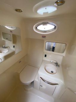 
										SEA RAY AMBERJACK 34 full									