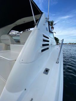 
										SEA RAY AMBERJACK 34 full									