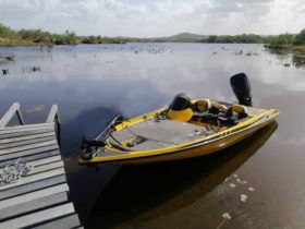 BOTE FUSION 19
