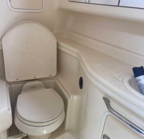 
								SEA RAY SUNDANCER 355 35 full									