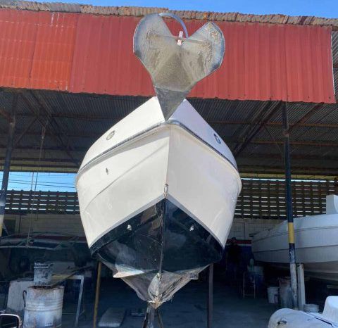 
								EXTREME MARINE CUDDY 38 full									