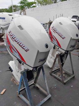 
										PAREJA MOTORES EVINRUDE E-TEC 200HP full									