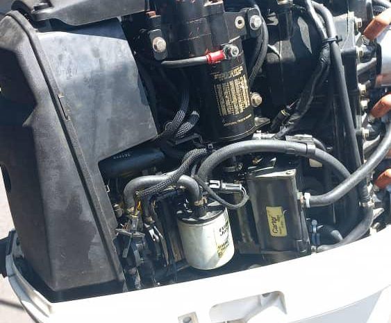 
								PAREJA MOTORES EVINRUDE E-TEC 200HP full									