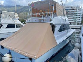 VIKING CONVERTIBLE 55