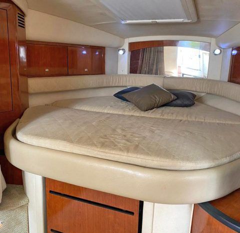 
								SEA RAY SUNDANCER 340 38 full									