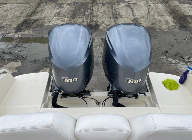 
								PROMARINE EXPRESS 1040 34 full									