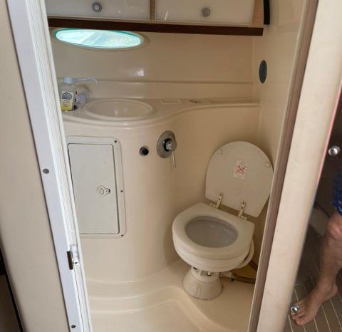 
								PROMARINE EXPRESS 1040 34 full									