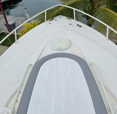
								PROMARINE EXPRESS 1040 34 full									