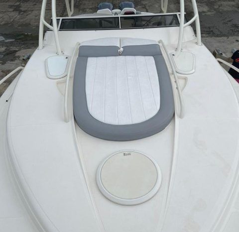 
								PROMARINE EXPRESS 1040 34 full									
