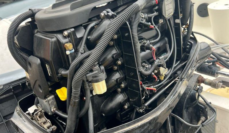 MOTOR MERCURY 50HP full