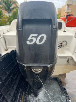 MOTOR MERCURY 50HP full