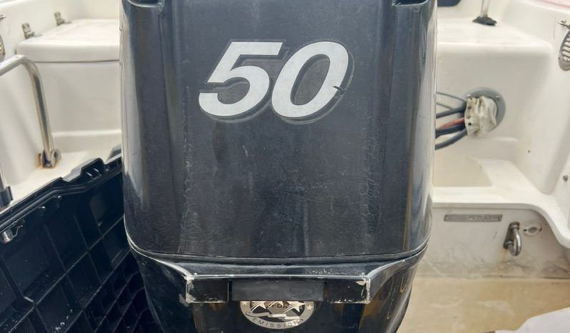 MOTOR MERCURY 50HP full