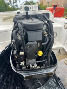 MOTOR MERCURY 50HP full