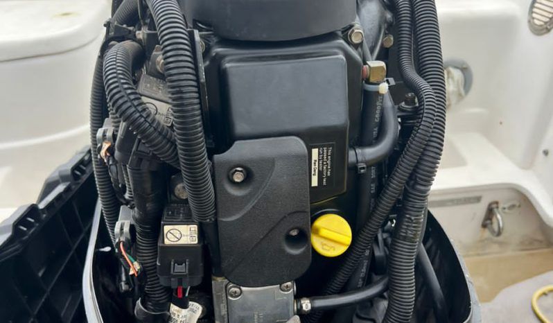 MOTOR MERCURY 50HP full