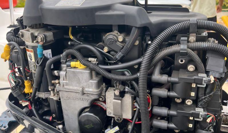 MOTOR MERCURY 50HP full
