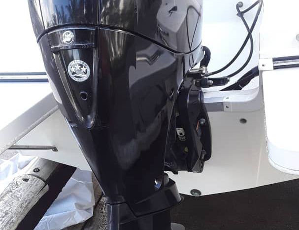 
								BAYLINER 17 full									