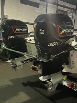 
										PAREJA DE MOTORES MERCURY X full									