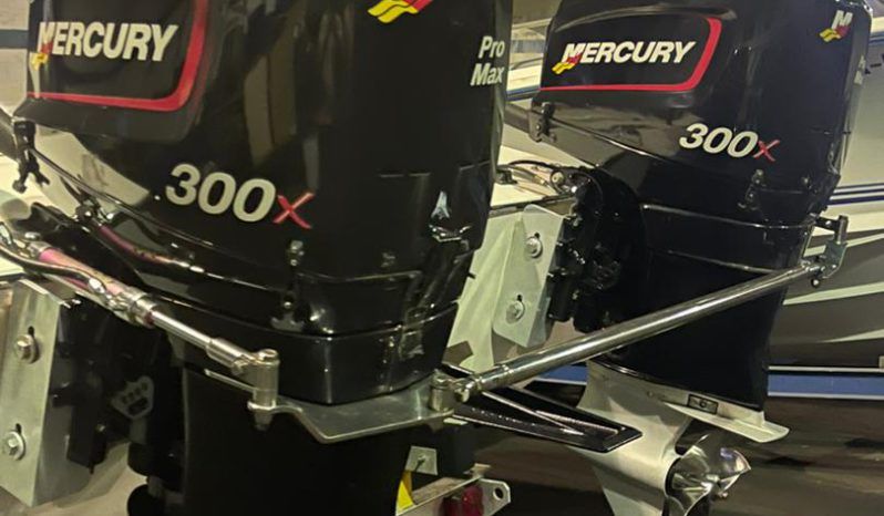 
								PAREJA DE MOTORES MERCURY X full									