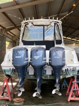 WELLCRAFT COASTAL 340 full