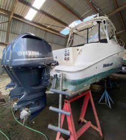 WELLCRAFT COASTAL 340 full