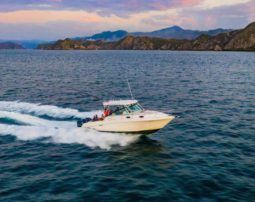 WELLCRAFT COASTAL 340 full