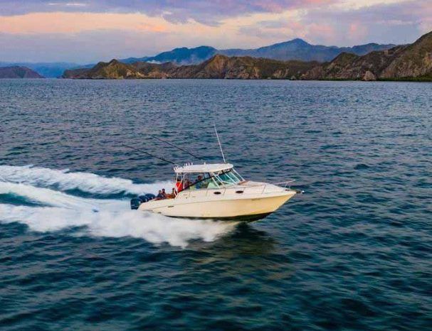 WELLCRAFT COASTAL 340 full