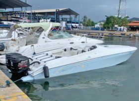 PROMARINE SS1000 33