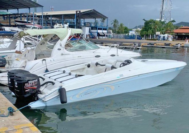 
								PROMARINE SS1000 33 full									