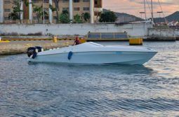 
										PROMARINE SS1000 33 full									