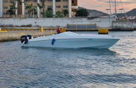 PROMARINE SS1000 33