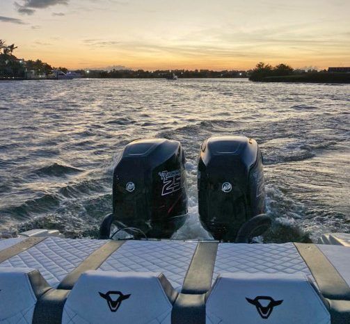 
								PROMARINE SS1000 33 full									