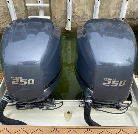 
								PROMARINE EXPRESS 34 full									