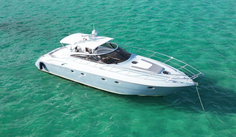 
								VIKING PRINCESS 50 full									