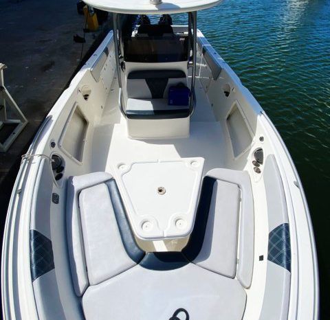 
								PROMARINE SPORT FISHING 33 full									