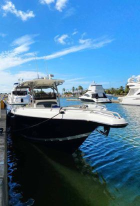 PROMARINE SPORT FISHING 33
