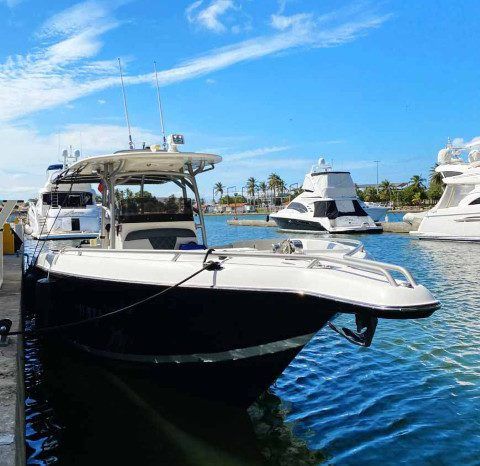 
								PROMARINE SPORT FISHING 33 full									