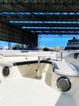 
										PROMARINE SPORT FISHING 33 full									