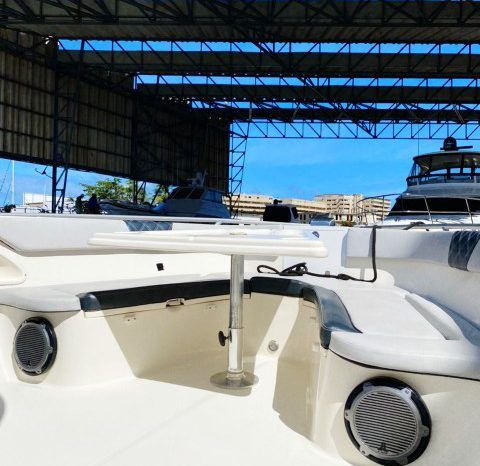 
								PROMARINE SPORT FISHING 33 full									